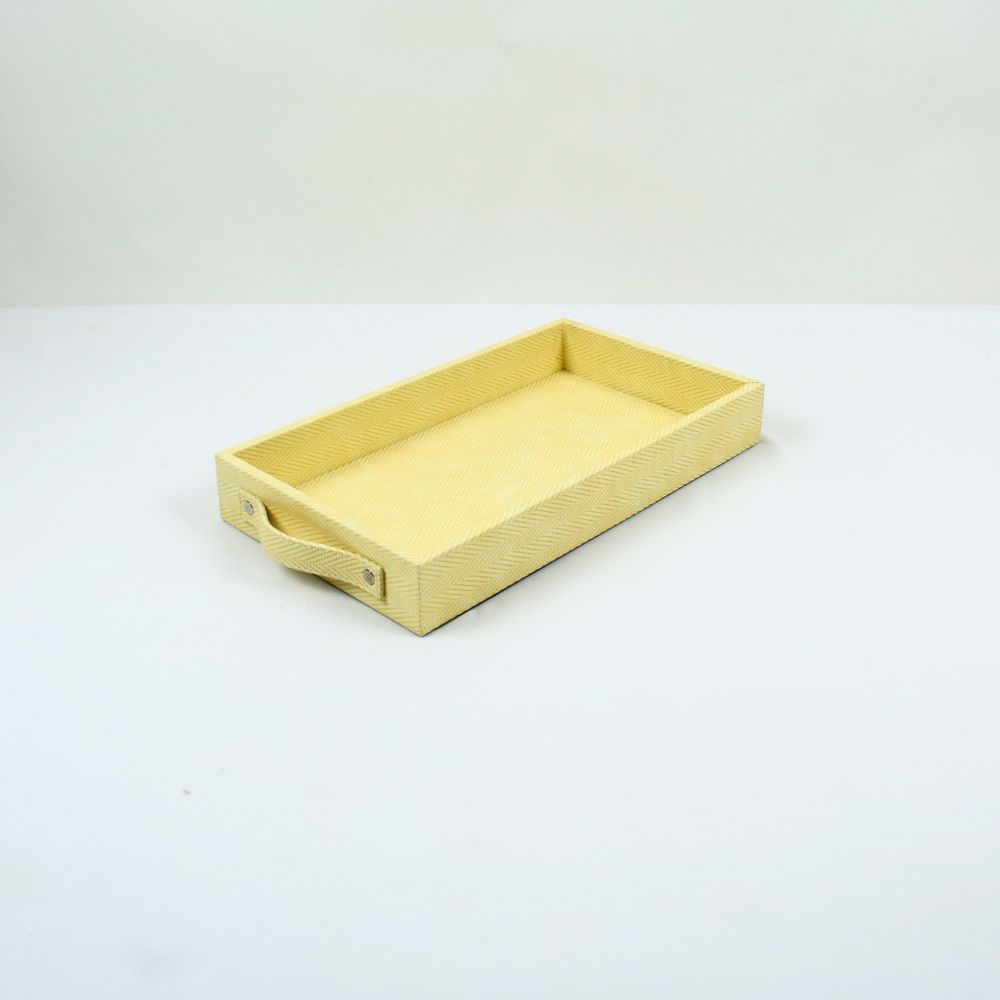 Stylish leather tray for organized storage