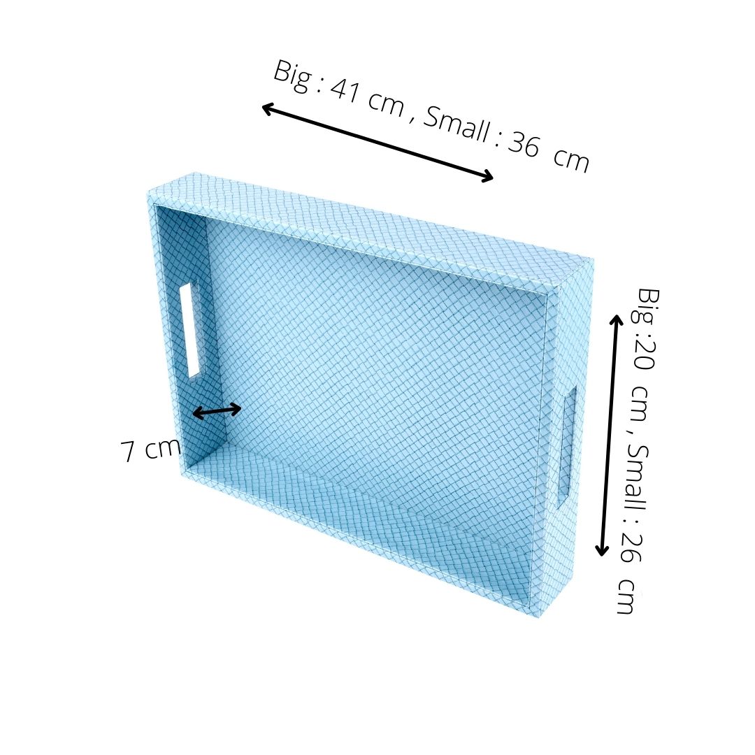 Premium leather tray for organization