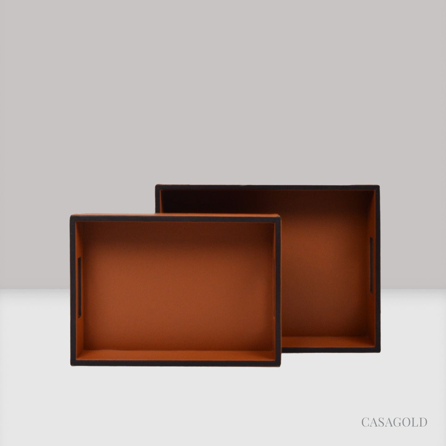 Brown N Tan Leather Tray - Set of 2