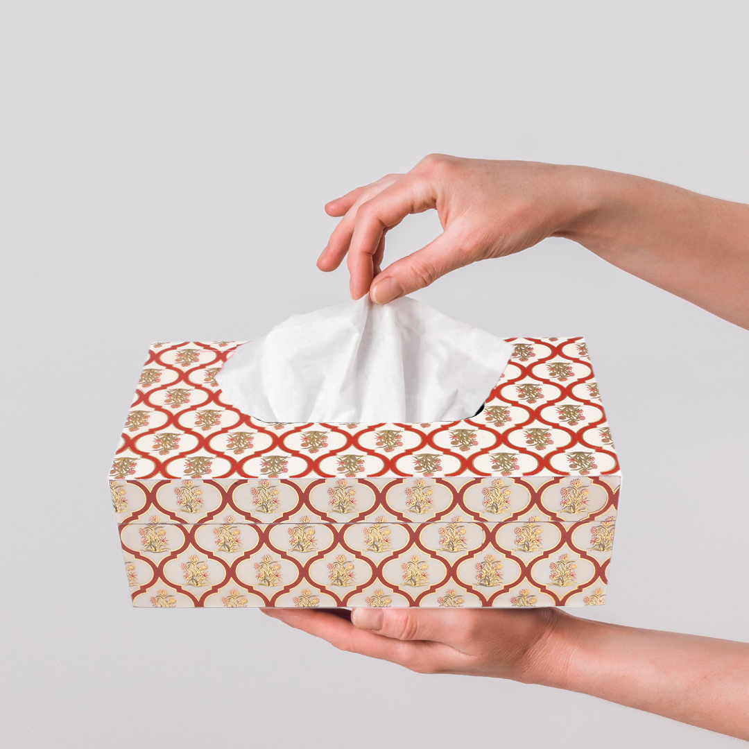 Stylish designer tissue box for modern interiors
