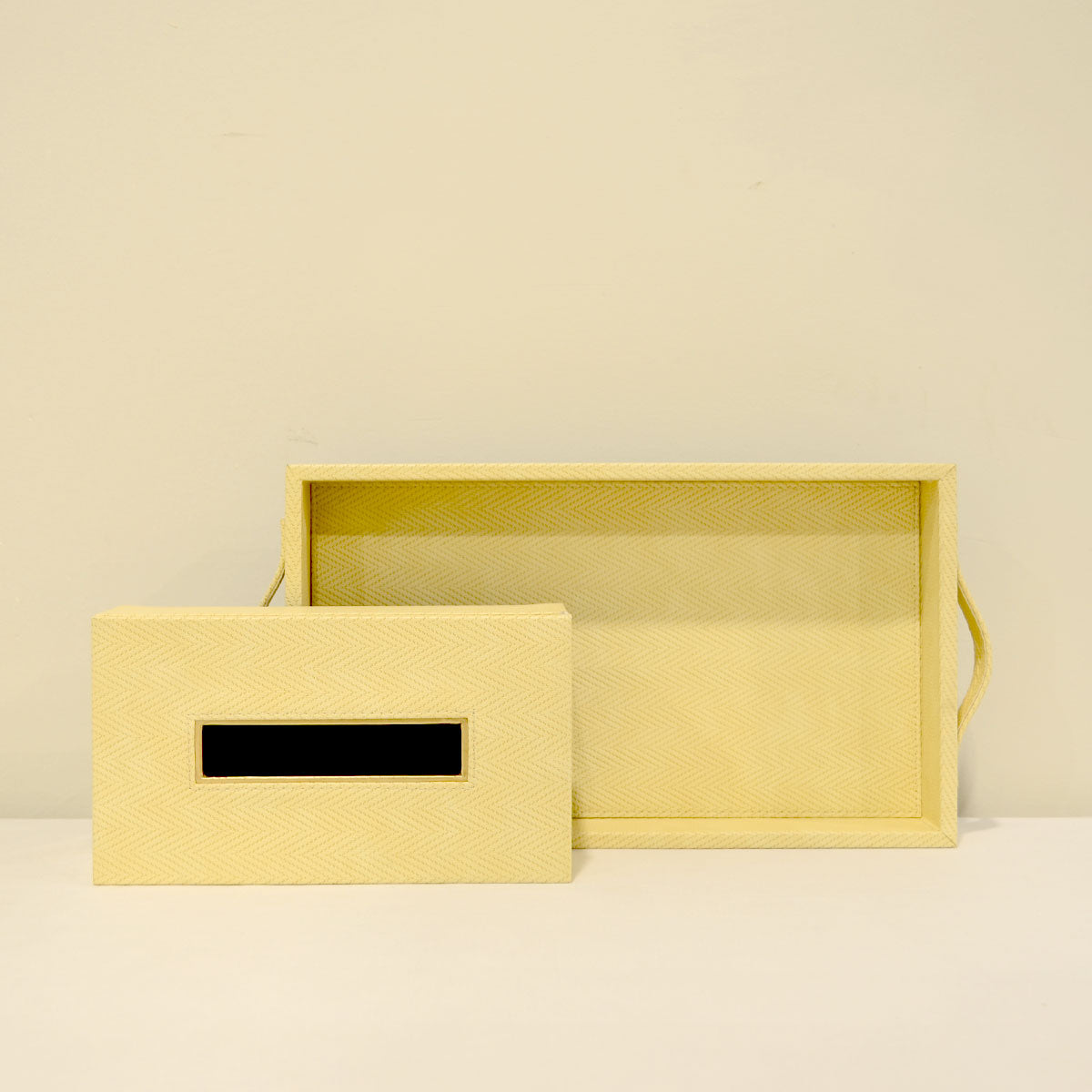 Leather tray with Tissue box Twill Cream