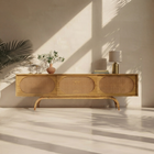 Elegant Mid-Century Modern Media Unit