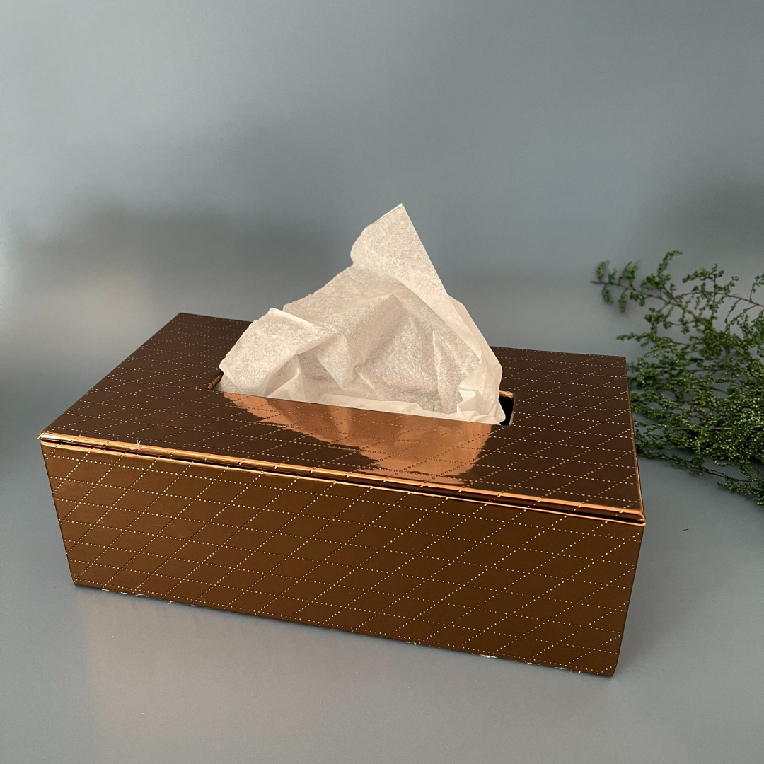 Stylish leather tissue box for modern homes
