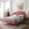 buy queen bed online king size bed online shopping